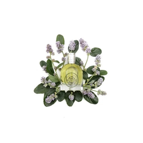 Oriental Patchouli – Eau de Parfum perfume