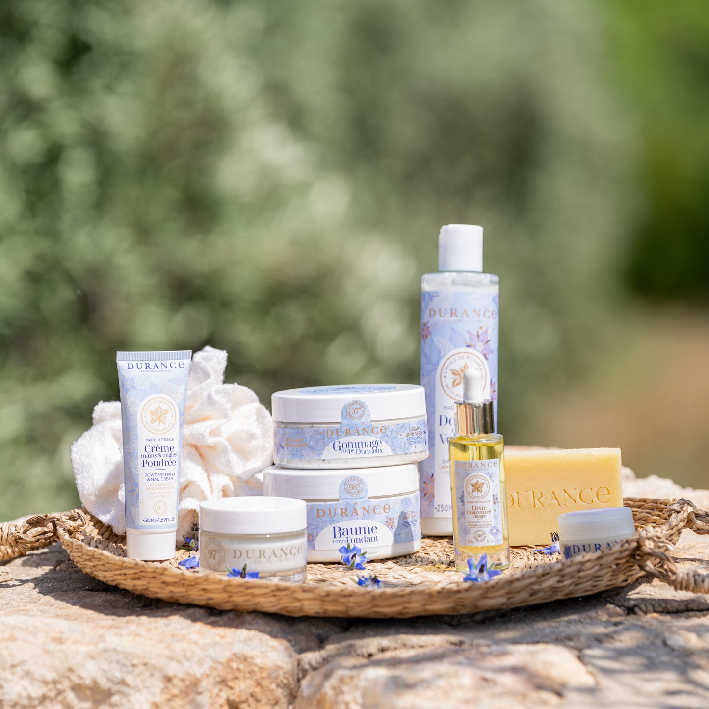 Borage Oil Radiance Ritual (7-Piece Face & Body Set)