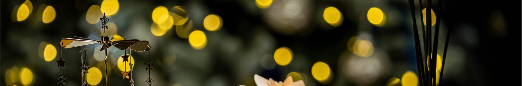 ★ HOLIDAY COLLECTION