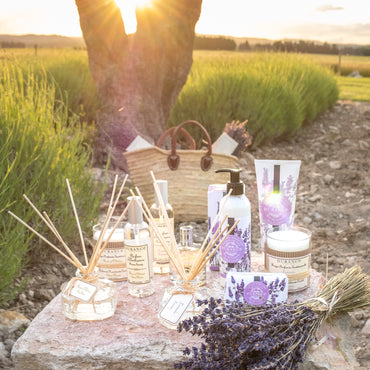 Lavender Home & Body Discovery Gift Box (17-Piece)