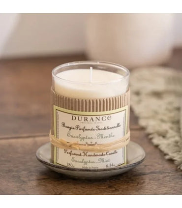 Eucalyptus Mint Scented Handmade candle