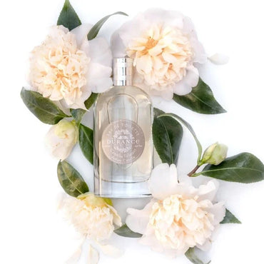 Radiant Camellia - Eau de Toilette perfume