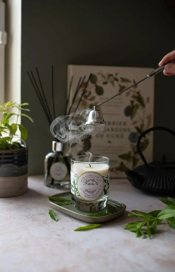 Sparkling Verbena -  Natural Candle 