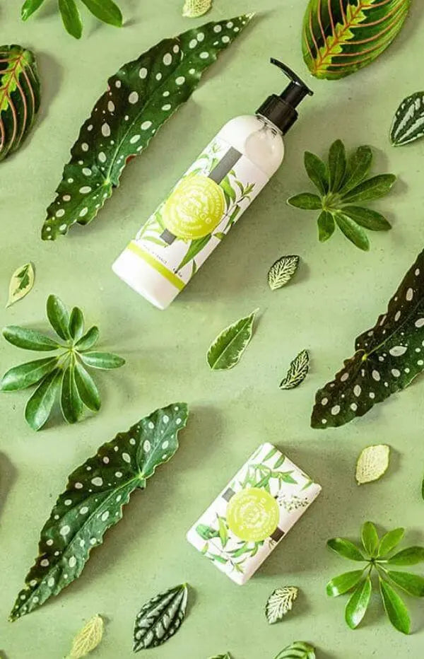 Sparkling Verbena Lotion