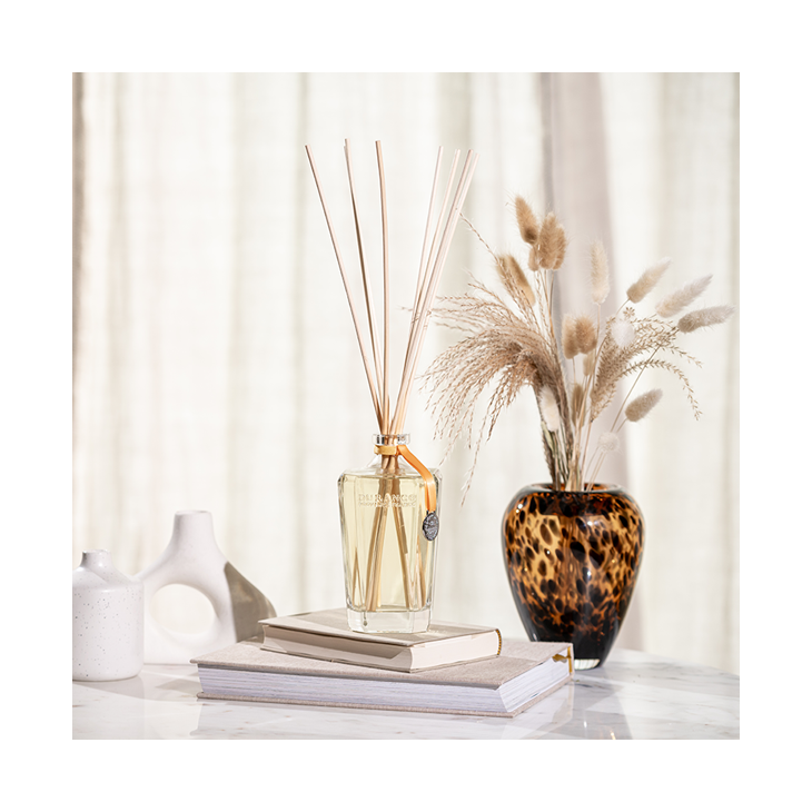 Wooden sticks  and orange diffuser