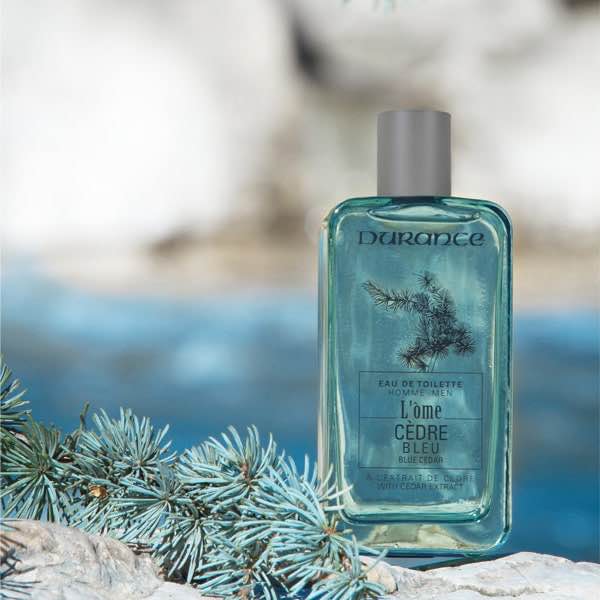 Blue Cedar with Cedar Extract 100 ml.