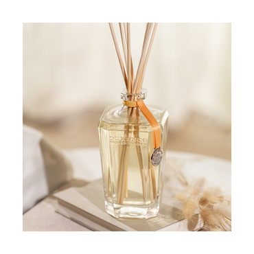 Wooden sticks  and orange diffuser